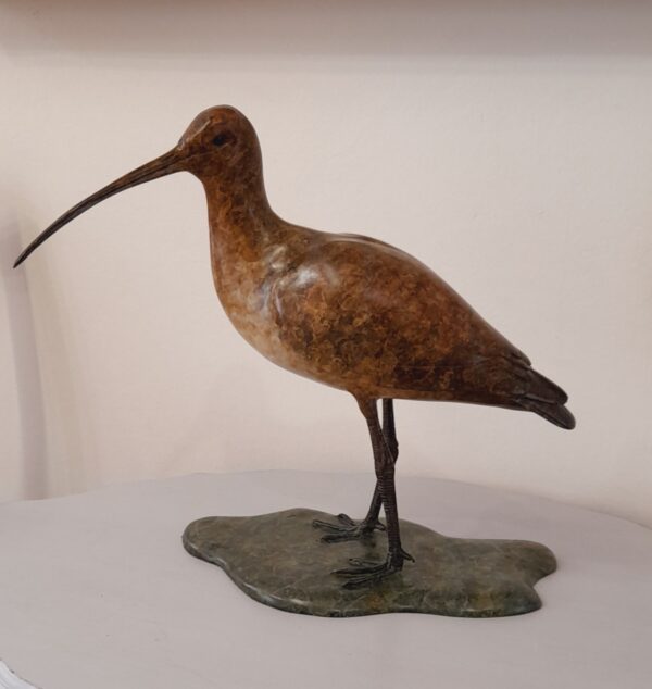 Curlew