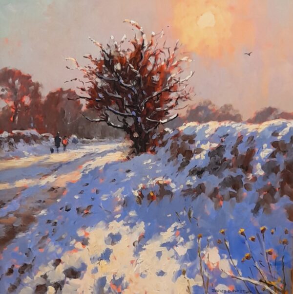 November Snow, Holbrook